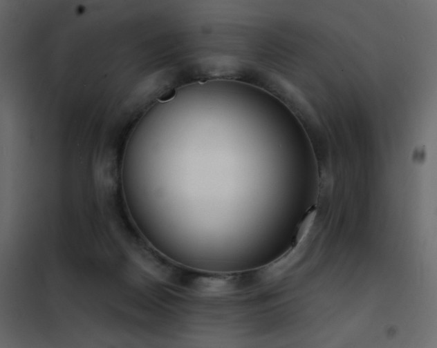 X0000102530170200808081500
