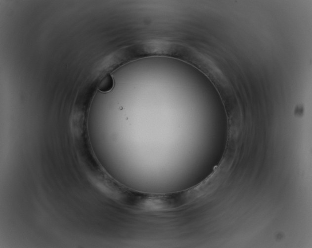 X0000102530171200808081500