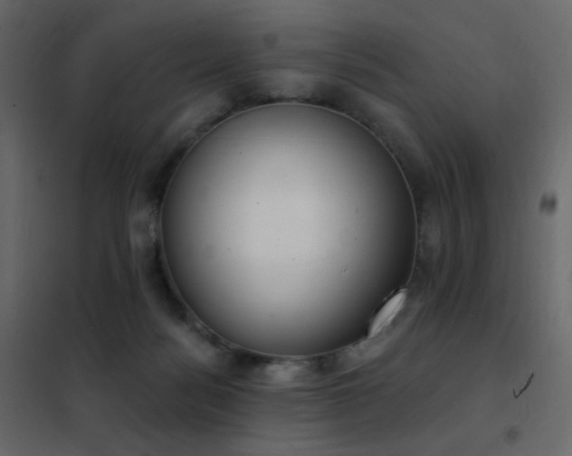 X0000102530172200808081500