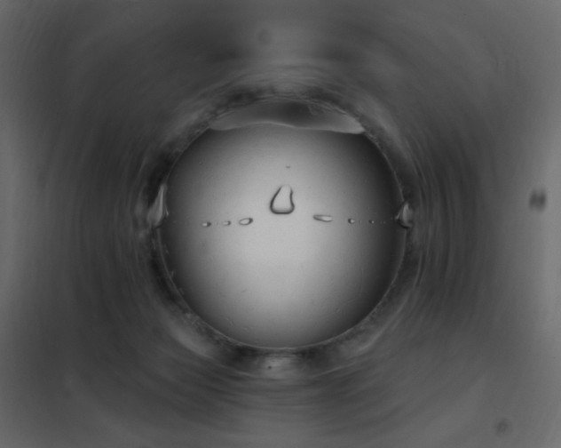 X0000102530173200808081500