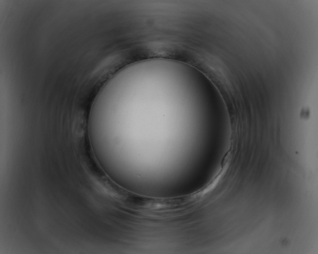 X0000102530174200808081500