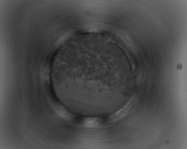 X0000102530175200808081500