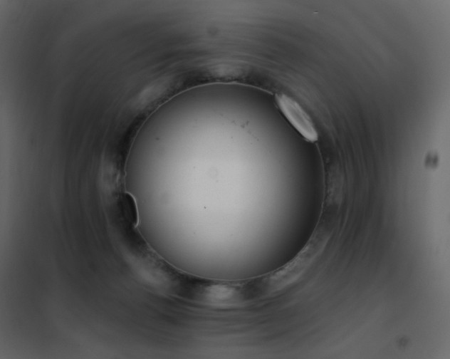 X0000102530176200808081500