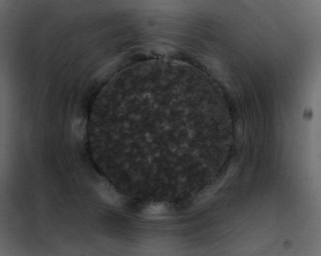 X0000102530177200808081500