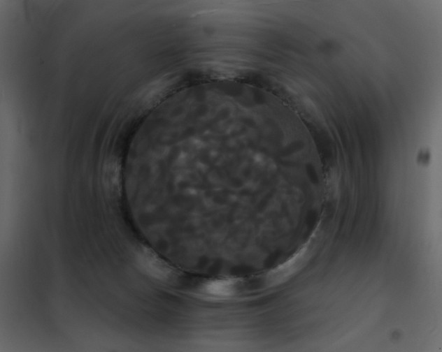X0000102530178200808081500
