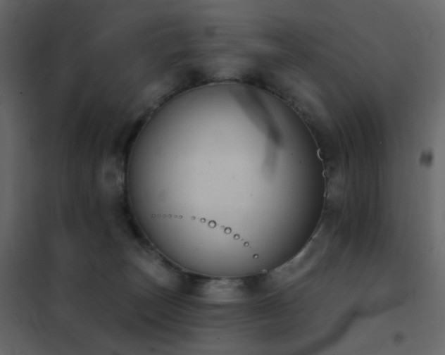 X0000102530179200808081500