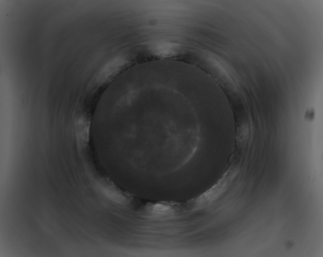 X0000102530180200808081500