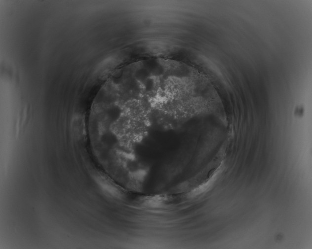 X0000102530182200808081500