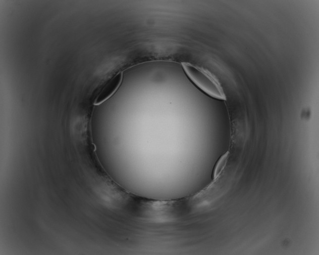 X0000102530184200808081500