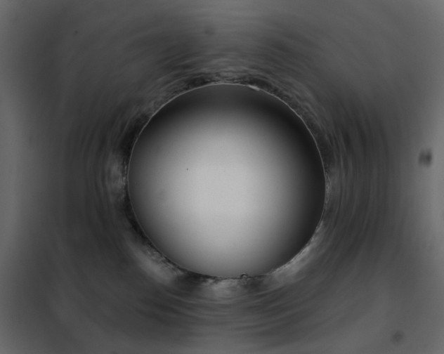 X0000102530186200808081500