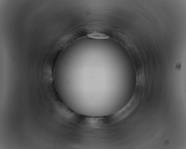 X0000102530187200808081500