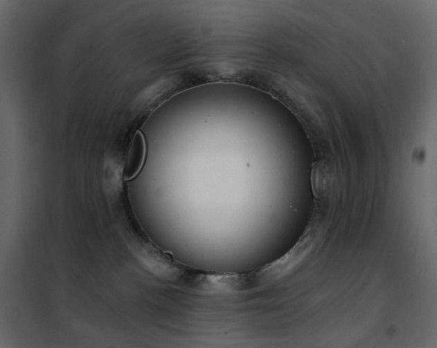 X0000102530188200808081500