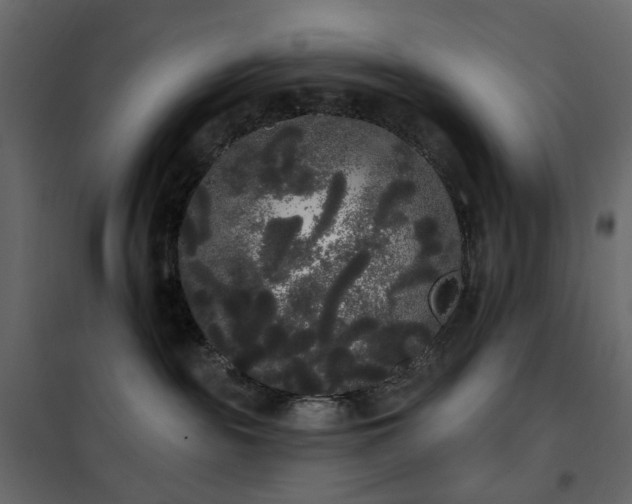 X0000102530189200808081500
