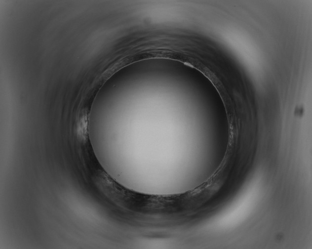 X0000102530190200808081500