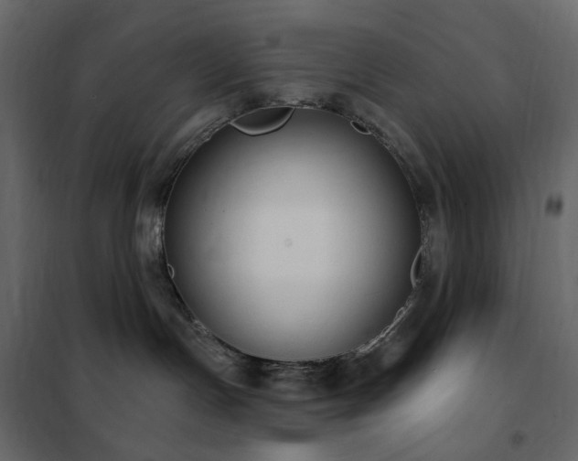X0000102530191200808081500