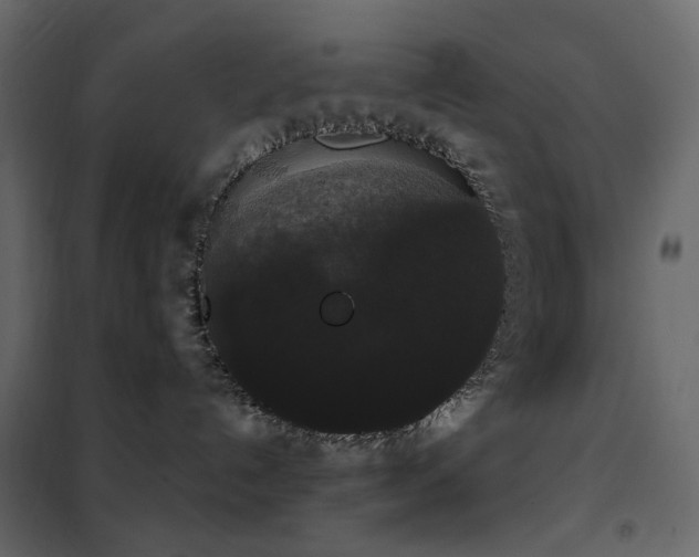 X0000102530192200808081500
