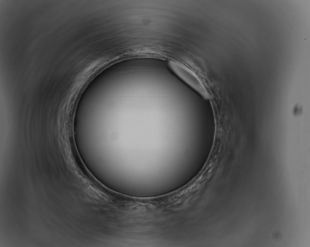 X0000102530193200808081500