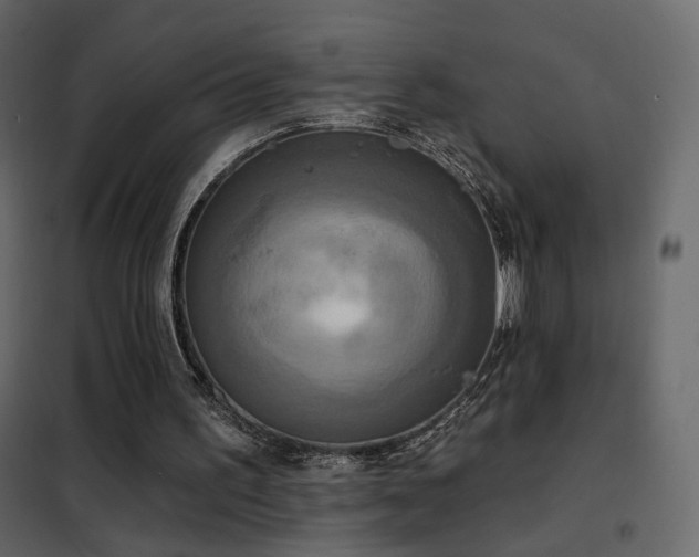 X0000102530195200808081500