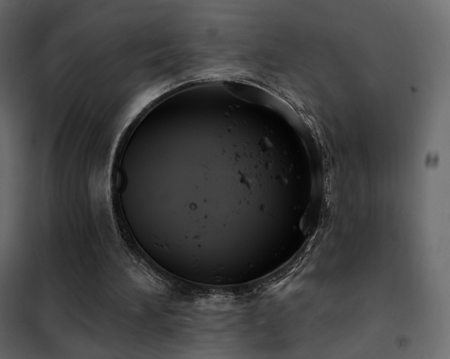X0000102530196200808081500