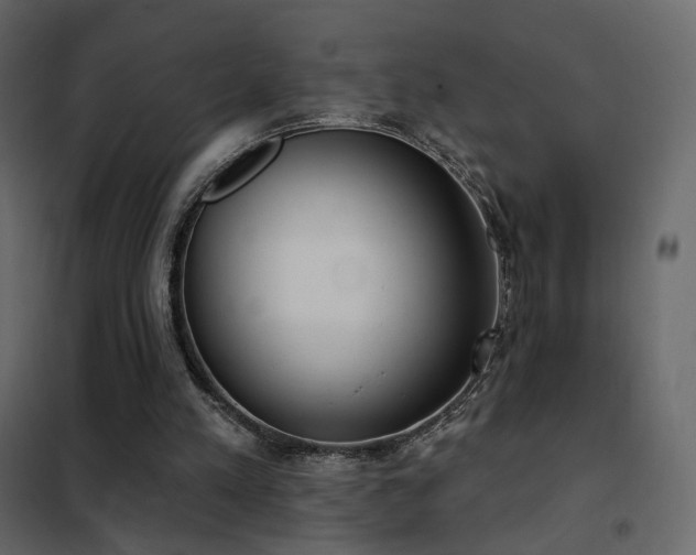 X0000102530197200808081500
