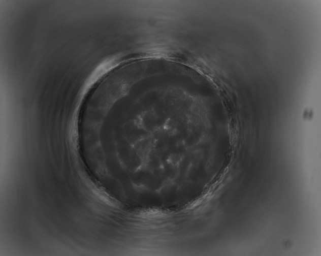 X0000102530198200808081500