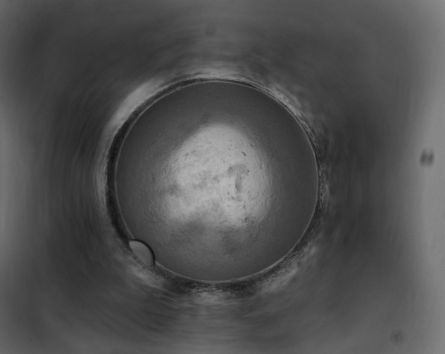 X0000102530199200808081500