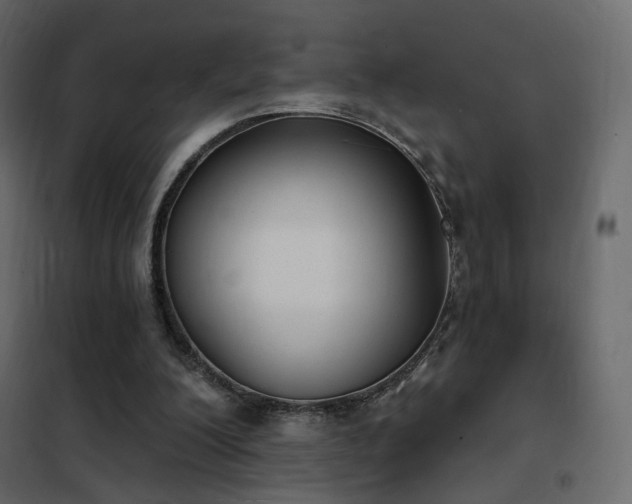 X0000102530200200808081500