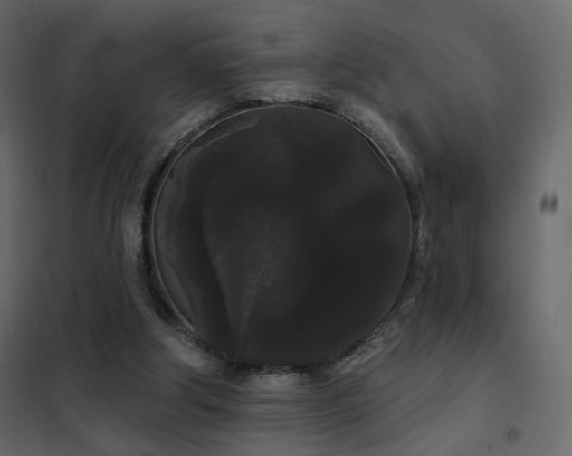 X0000102530202200808081500