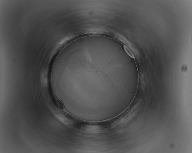 X0000102530203200808081500