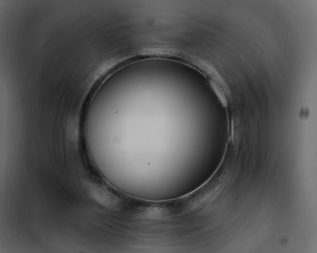 X0000102530204200808081500