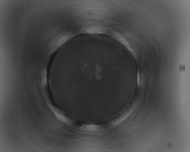 X0000102530205200808081459