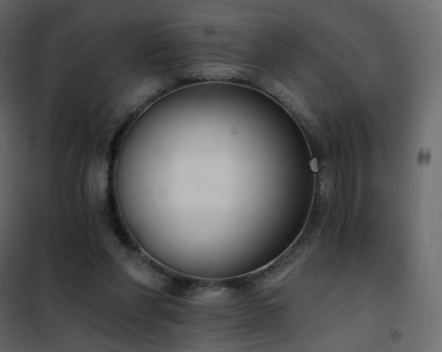 X0000102530206200808081459