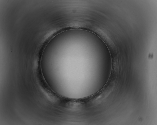 X0000102530208200808081459