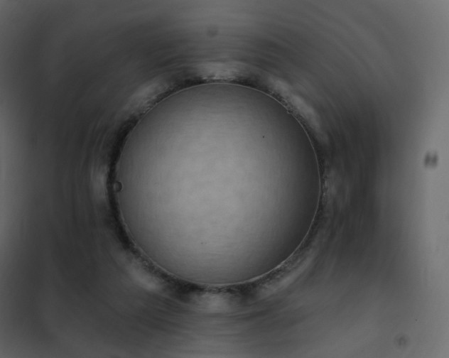 X0000102530209200808081459