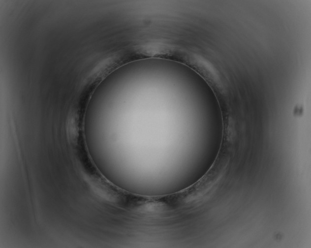 X0000102530210200808081459