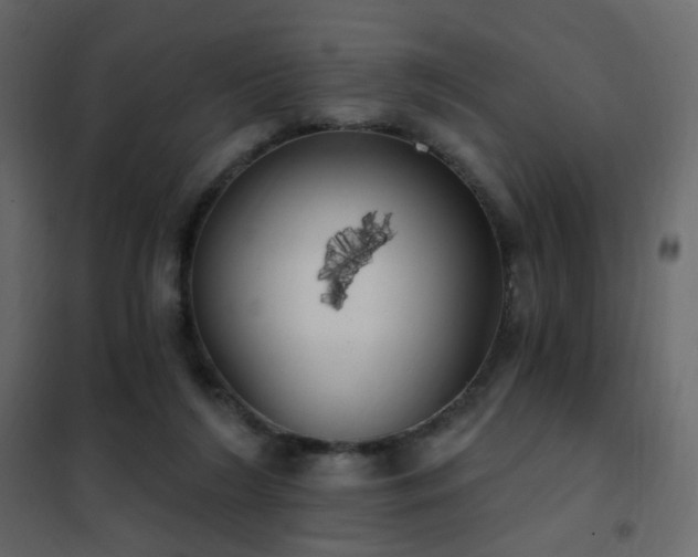 X0000102530212200808081459