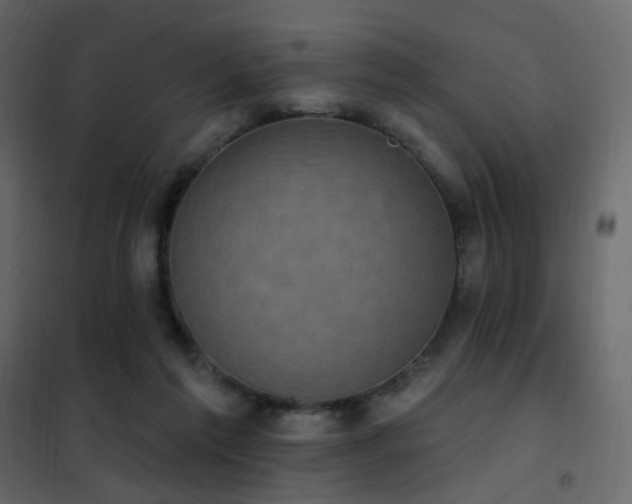 X0000102530213200808081459