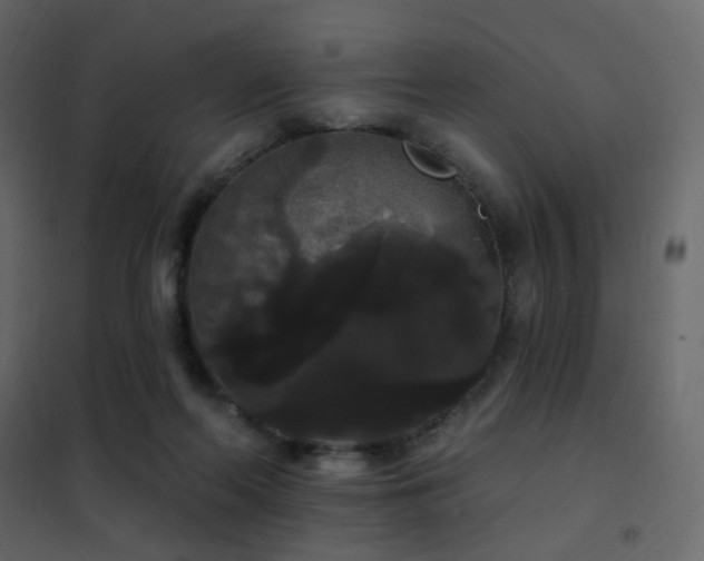 X0000102530214200808081459