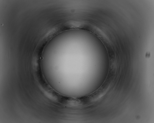 X0000102530215200808081459