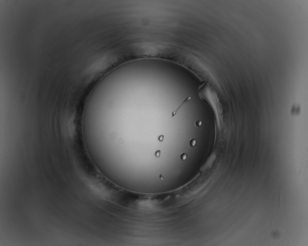 X0000102530216200808081459