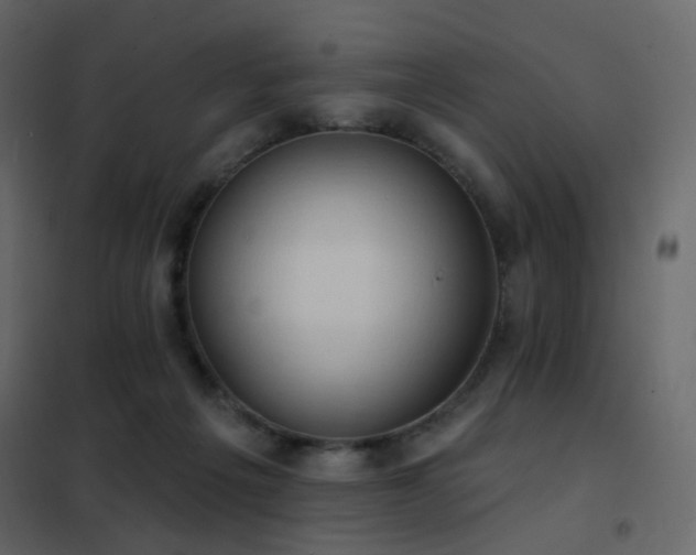 X0000102530217200808081459
