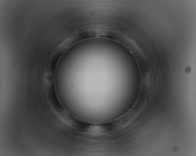X0000102530218200808081459
