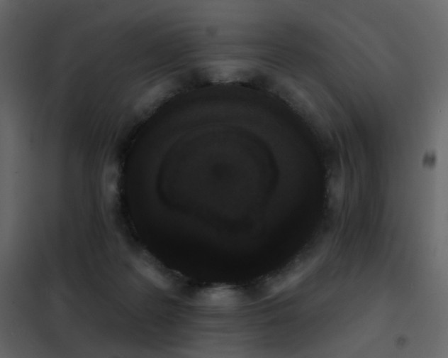 X0000102530219200808081459