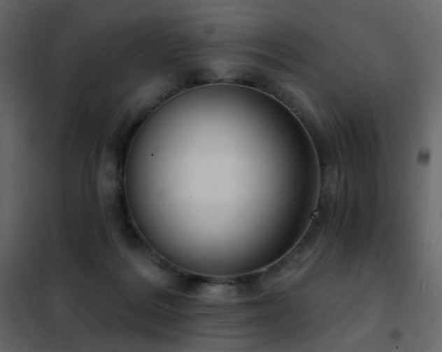 X0000102530220200808081459
