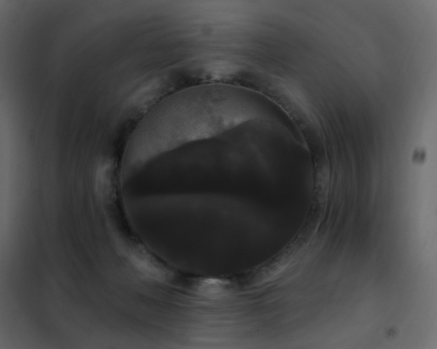 X0000102530222200808081459