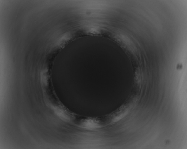 X0000102530223200808081459