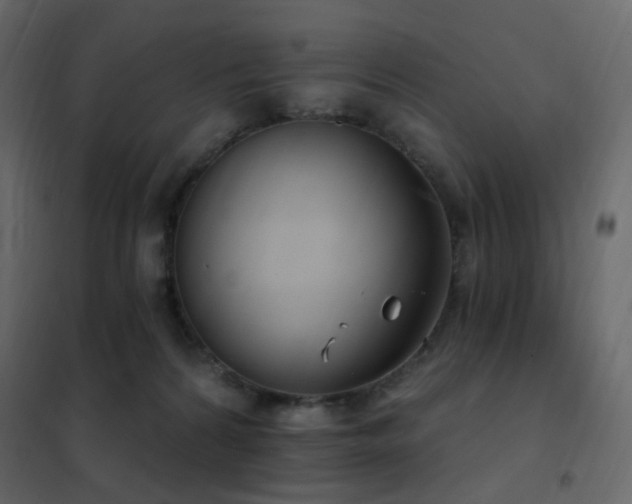 X0000102530224200808081459