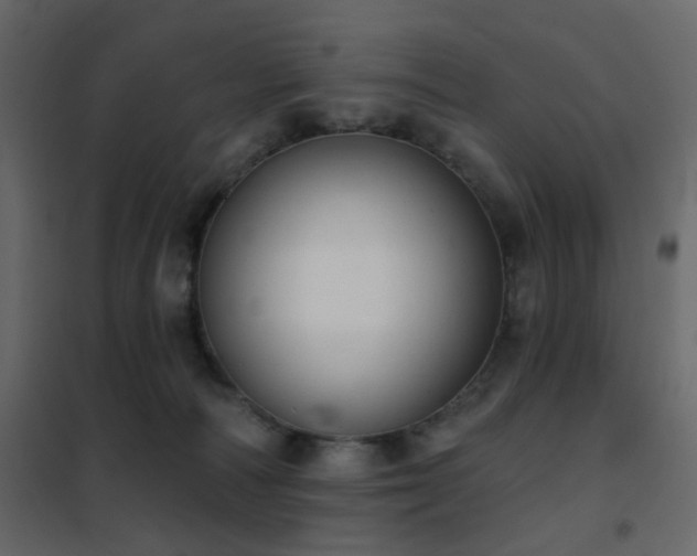 X0000102530226200808081459