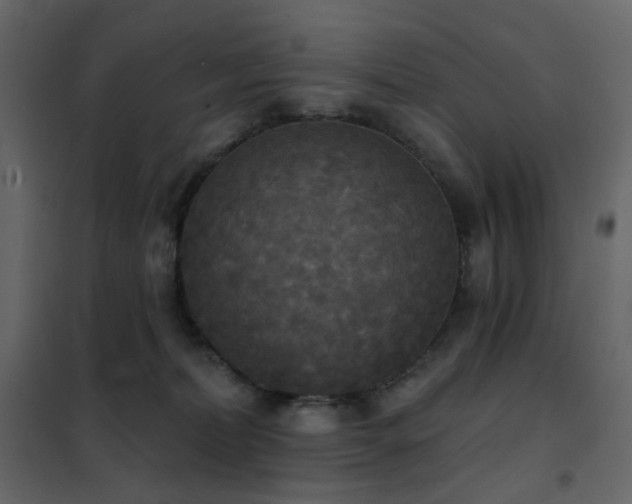 X0000102530228200808081459