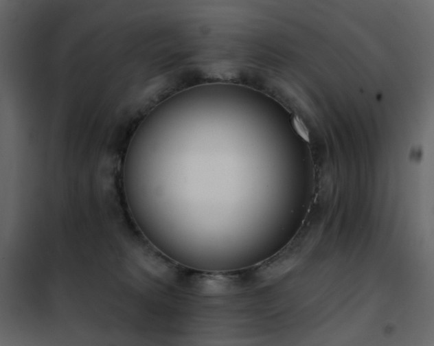 X0000102530229200808081459